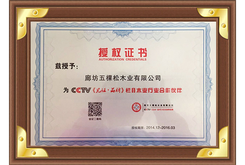 CCTV《品牌 · 見證》欄目木業(yè)行業(yè)合作伙伴