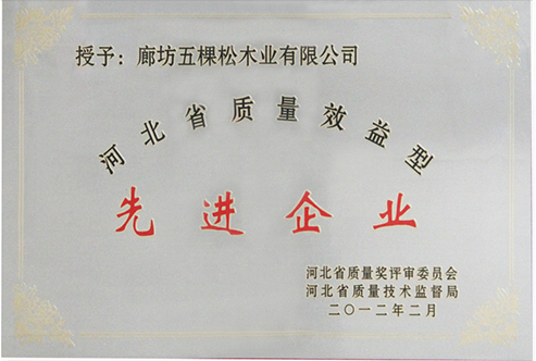 河北省質(zhì)量效益型先進(jìn)企業(yè)