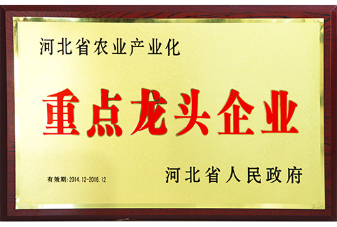 河北省農(nóng)業(yè)產(chǎn)業(yè)化重點(diǎn)龍頭企業(yè)