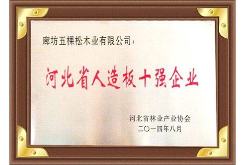 河北省人造板十強(qiáng)企業(yè)